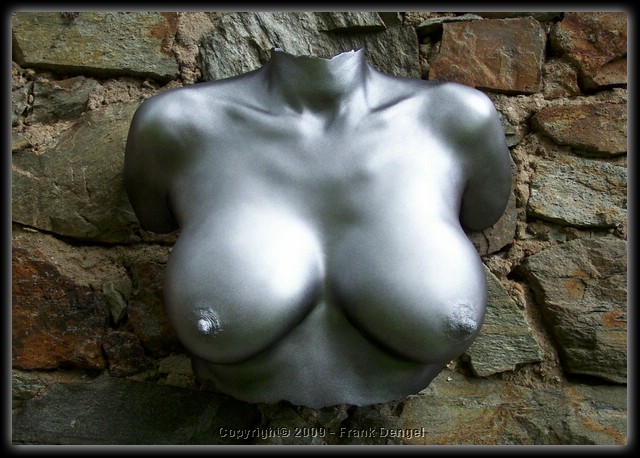 Torso 4.jpg