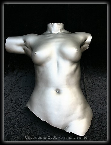 Torso.jpg