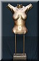 Torso 2.jpg