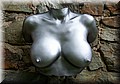 Torso 4.jpg